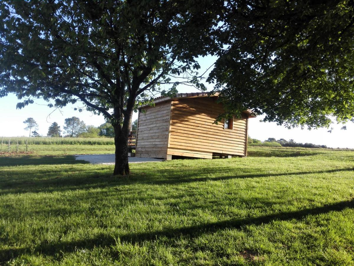 Le Chalet Douillet Saint-Genies Esterno foto